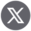 X (Twitter)